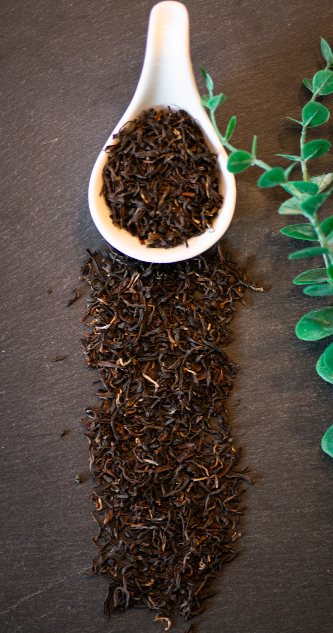 Darjeeling Rare Muscatel
