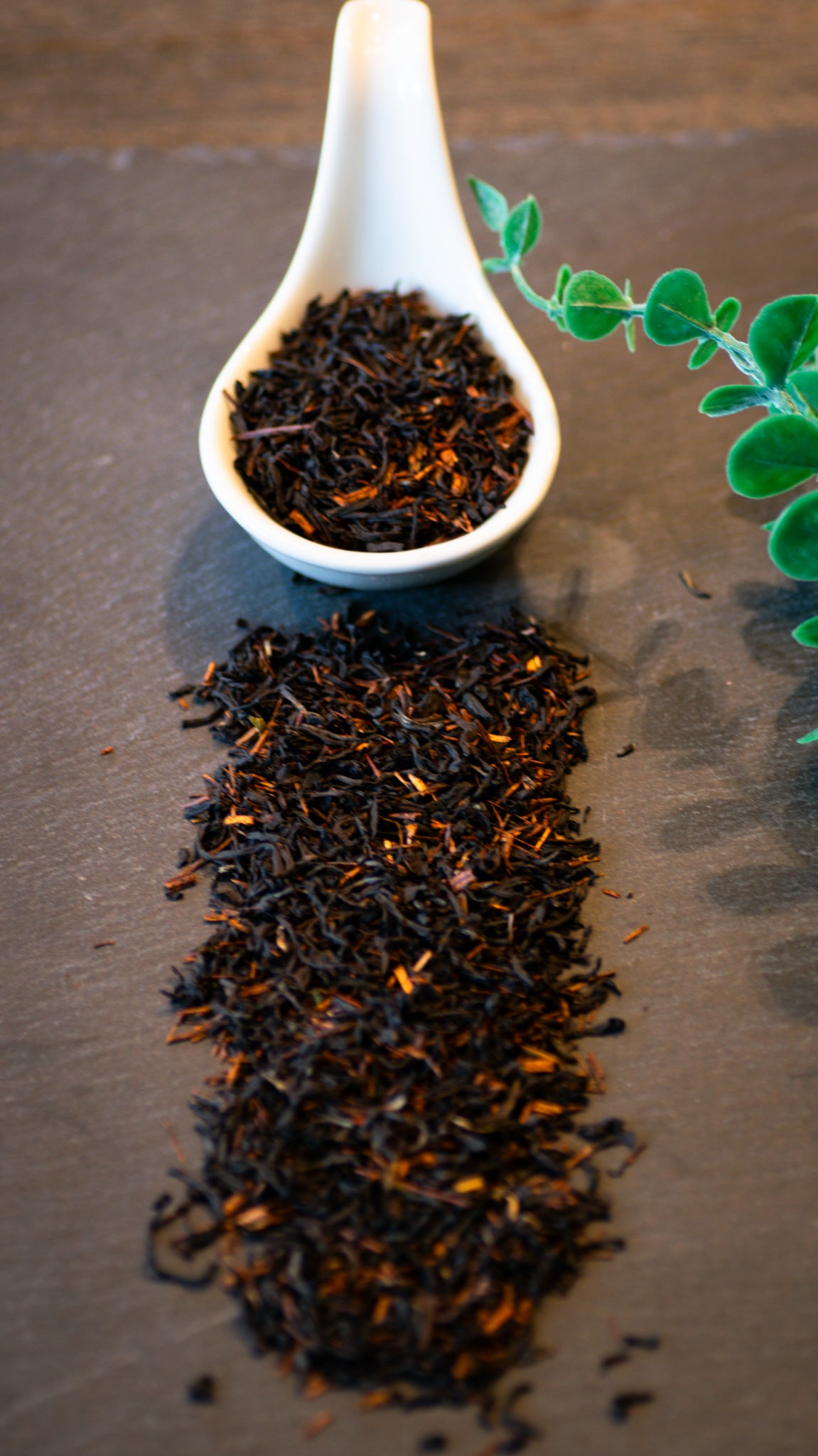 South African Rooibos
