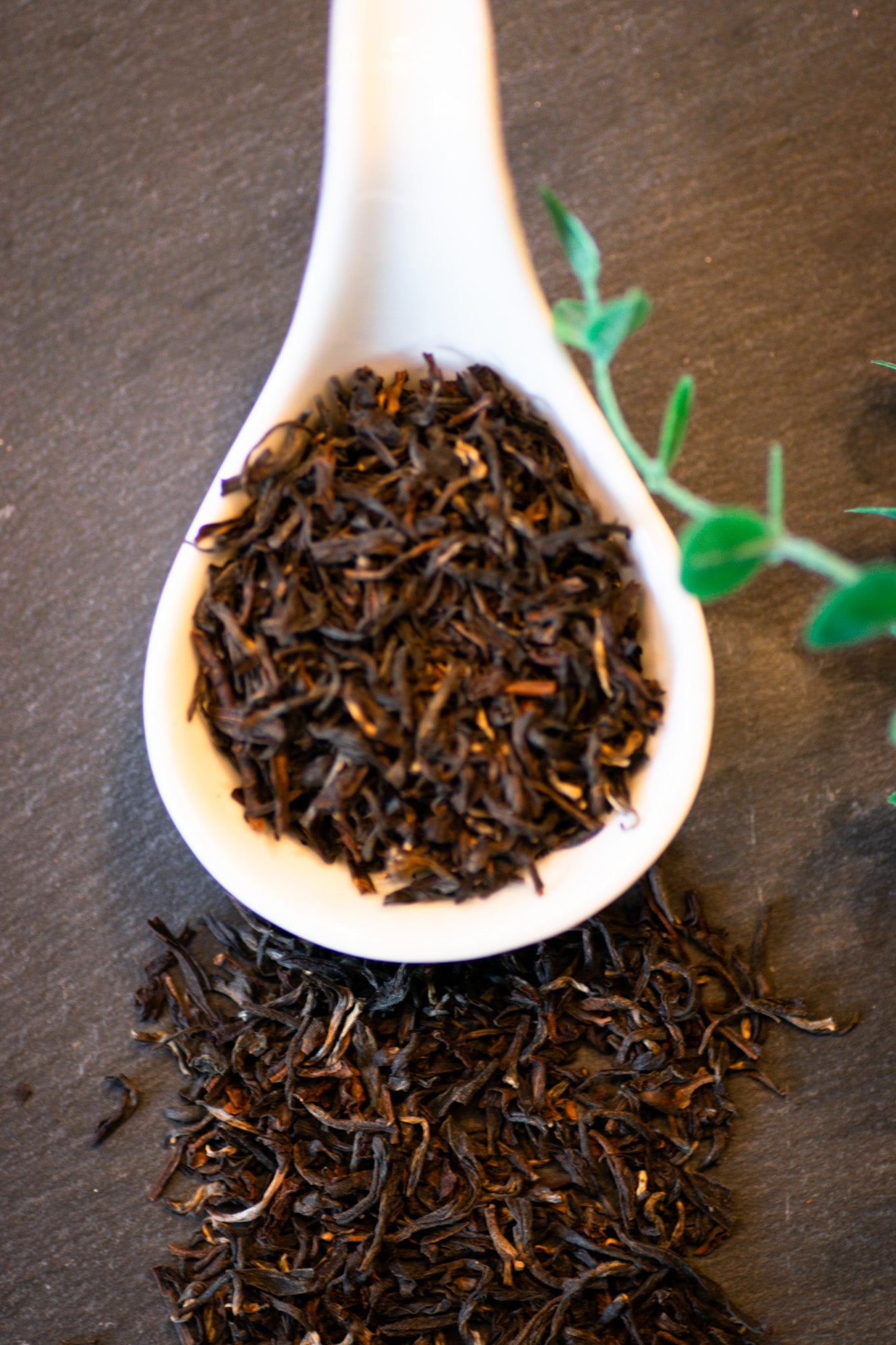 Darjeeling Rare Muscatel