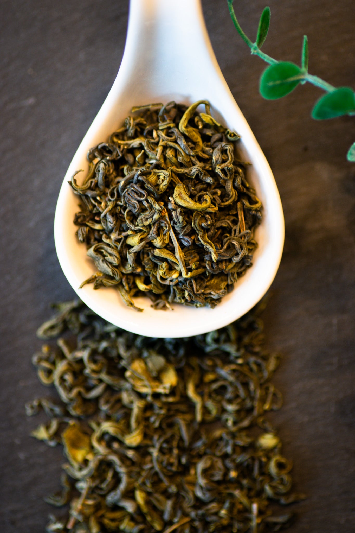 Oolong