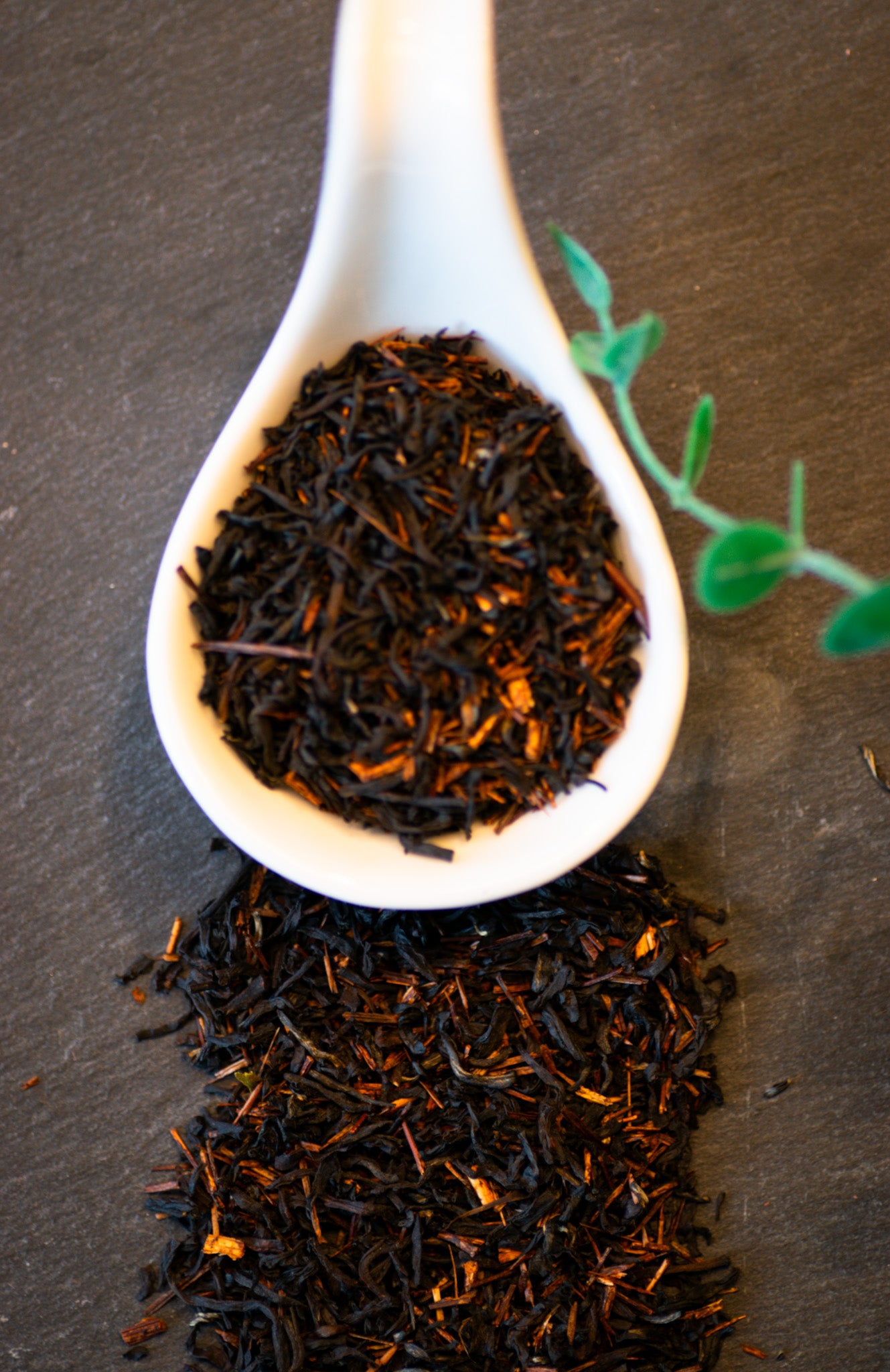 South African Rooibos